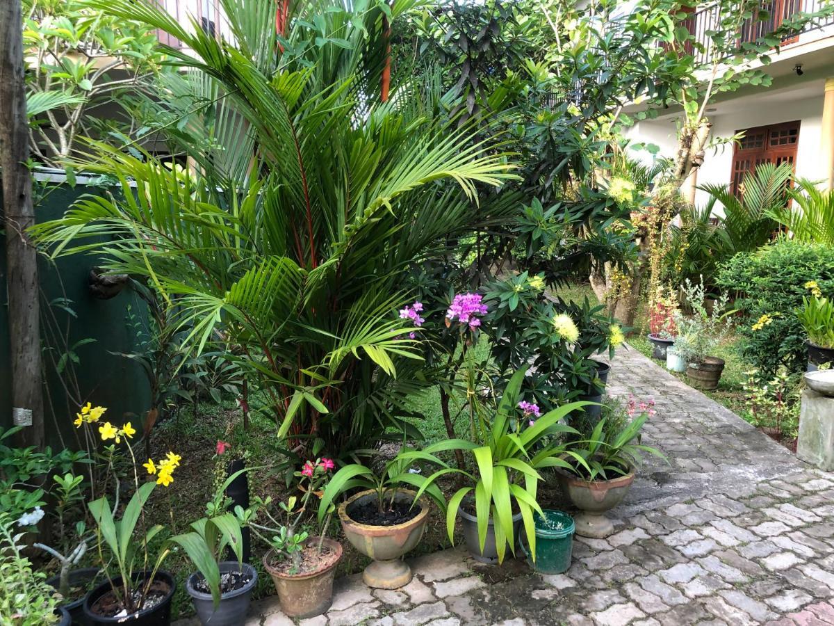 Coral Palm Villa And Apartment Unawatuna Exterior photo